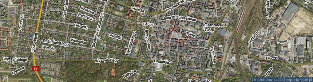 Zdjęcie satelitarne Królika Teofila ul.